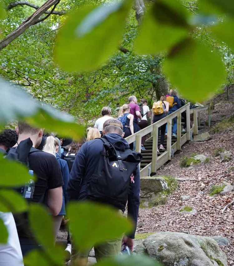 Arex Advisor team hiking up a wooden staircase in the forest, embodying our commitment to recruiting experts with diverse backgrounds—pharmacists, molecular cell biologists, health economists, PhDs, MBAs, business managers, entrepreneurs, former agency assessors, and research scientists.