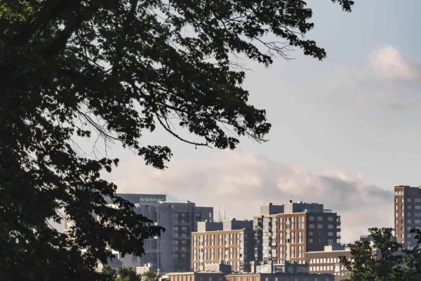 A vibrant cityscape seen across the water with a tree adorned with green leaves in the foreground, symbolizing Arex Advisor's blend of global perspective and local expertise to support affiliates and local companies with informed strategies and qualified experts.